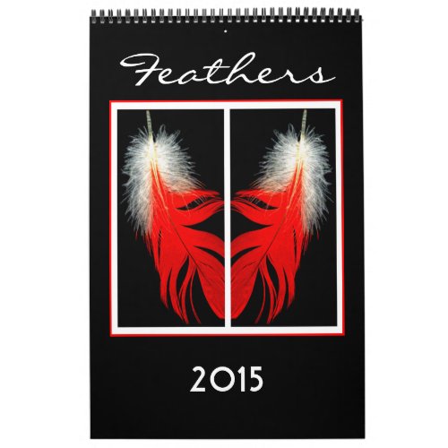 2015 Calendar of Bird feathers