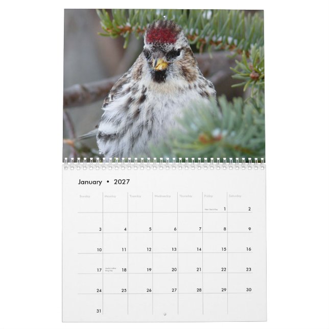 2015 Calendar of small birds