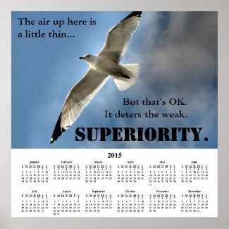 2015 Demotivational Calendar Superiority Print