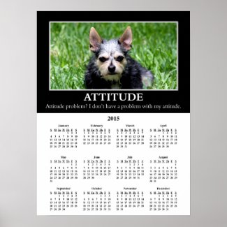2015 Demotivational Wall Calendar: Bad Attitude