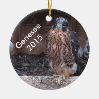 2015 Genesee Ornament