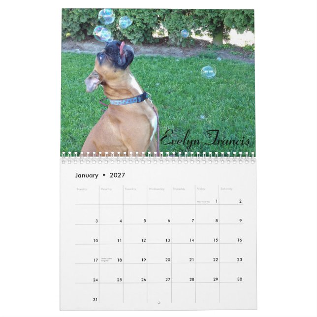 2015 Goofy Boxer Calendar (Jan 2027)