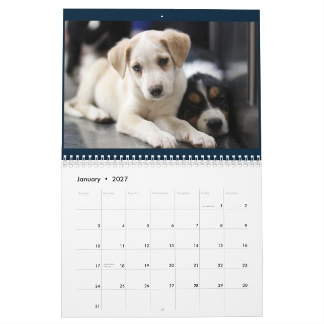 2015 Granite Hills Animal Care calendar (Jan 2027)