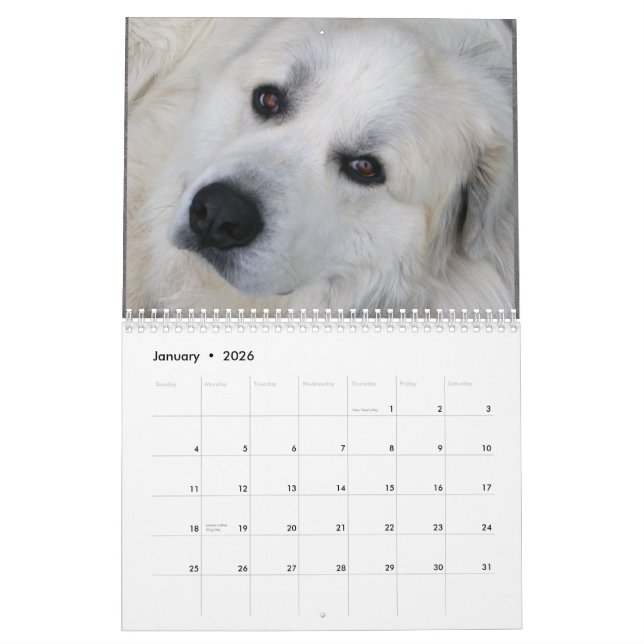 2015 Great Pyrenees Calendar (Jan 2026)