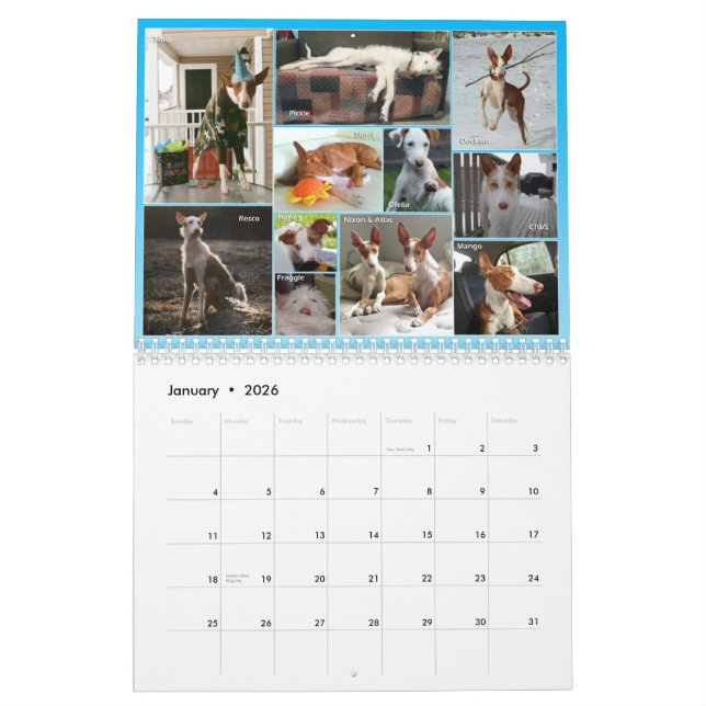 2015 Ibizan Hound Central Calendar (Jan 2026)