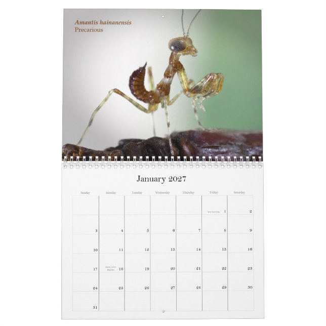2015 Mantidforum.net Wall Calendar (Jan 2027)