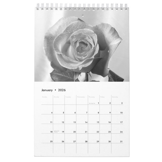 2015 Rose Calendar -back in time (Jan 2026)