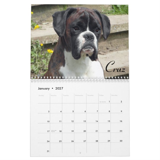 2015 Show Boxers Calendar (Jan 2027)