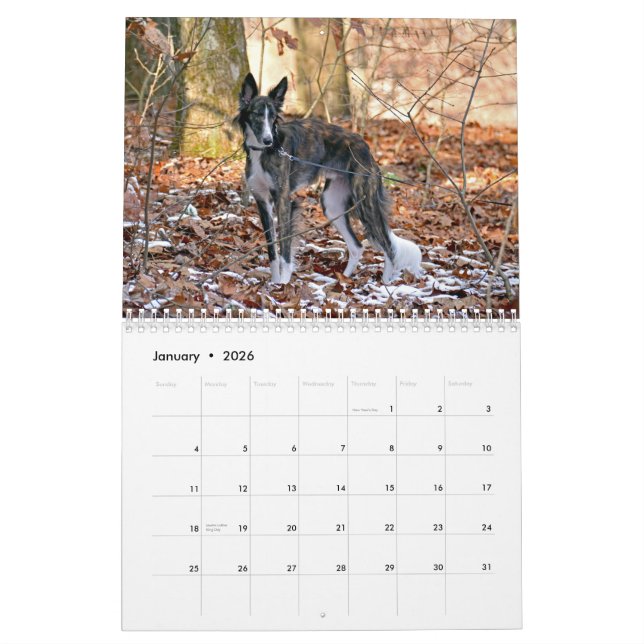 2015 Silken Windhounds Calendar (Jan 2026)