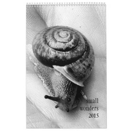2015 Small Wonders Calendar
