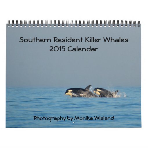 2015 Southern Resident Killer Whale Calendar Zazzle
