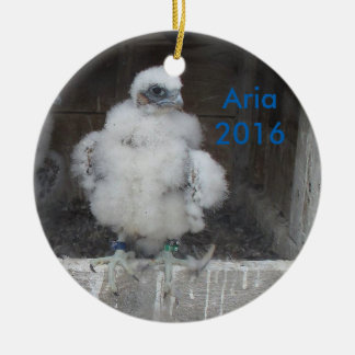 2016 Aria Ornament