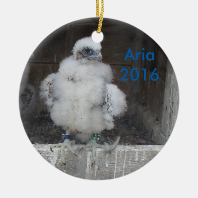 2016 Aria Ornament (Front)