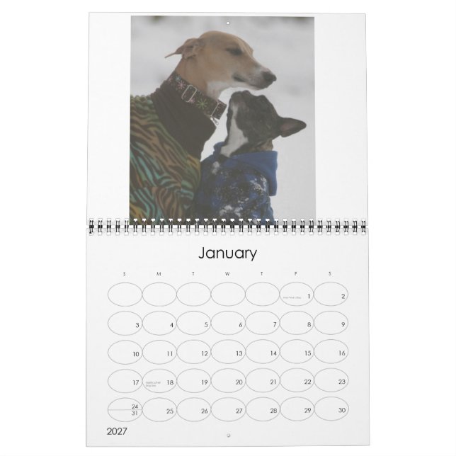 2016 Azawakh Calendar (Jan 2027)