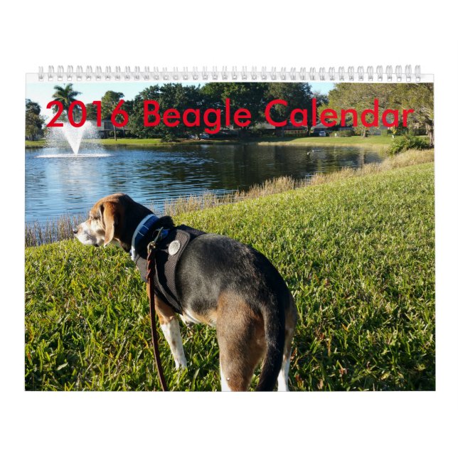 2016 Beagle Calendar (Cover)