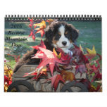 2016 Bernese Mountain Dog Calendar at Zazzle