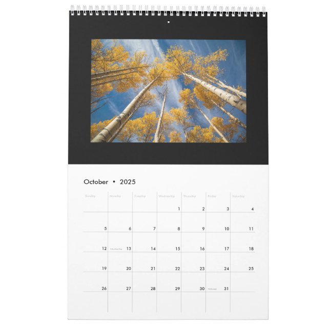 2016 Calendar (Oct 2025)