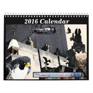 2016 Calendar - Main Cam Collages
