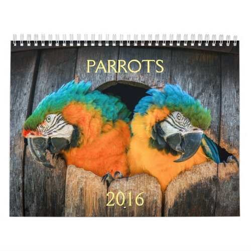 2016 Calendar of Parrots macaw amazon