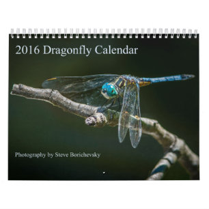 2016 Dragonfly Calendar by Steve Borichevsky
