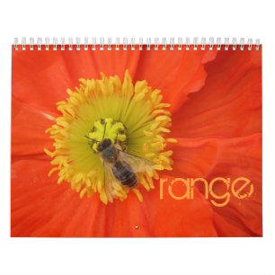 2016 in colours - calendar