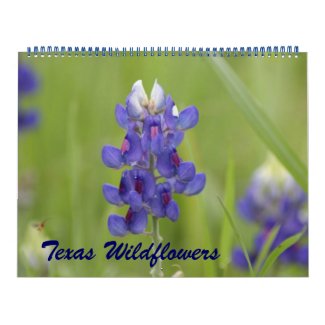 2016 North Central Texas Wildflowers Calendar