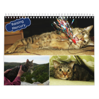 2016 Raising Mercury Calendar