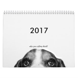 2017 Basset Hound Calendar