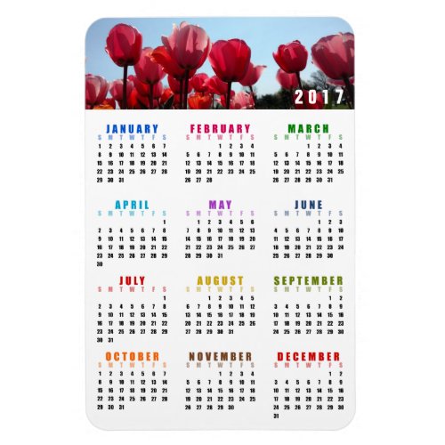 2017 Calendar Magnet _ Pink Peach Tulips Garden
