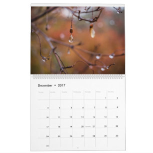 2017 Calendar, Photos by Eric Johnson Calendar