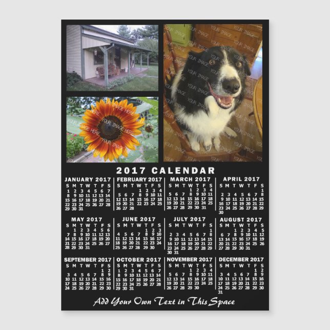 2017 Calendar (See Description for New Version)  (Front)