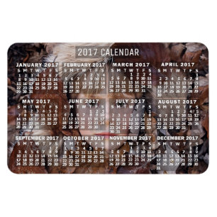 2017 Calendar (See Description for New Version) Magnet