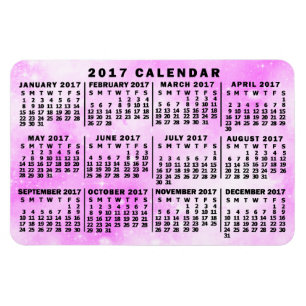 2017 Calendar (See Description for New Version) Magnet