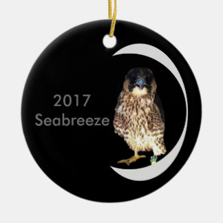 2017 Ceramic Ornament Seabreeze