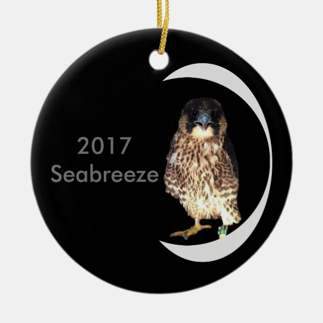2017 Ceramic Ornament Seabreeze (Front)