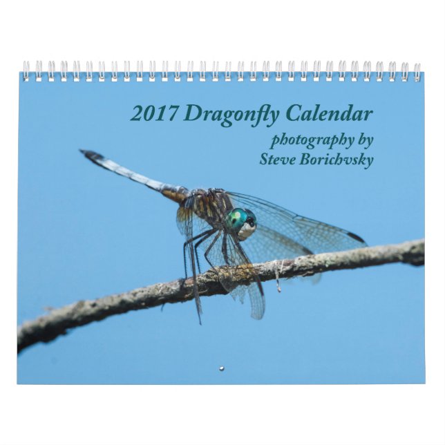 2017 Dragonfly Calendar (Cover)