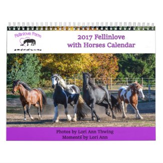 2017 Fellinlove with Horses Calendar