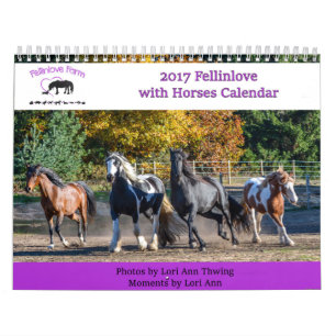 2017 Fellinlove with Horses Calendar