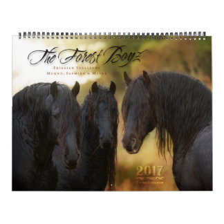 2017 Forest Boyz Calendar