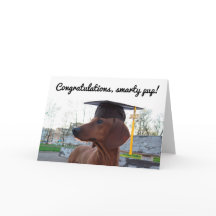 2017 Graduation Cap & Charm Dog Dachshund Smarty