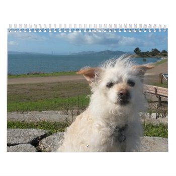 2017 Gwendolyn Calender Calendar by KineVideo at Zazzle