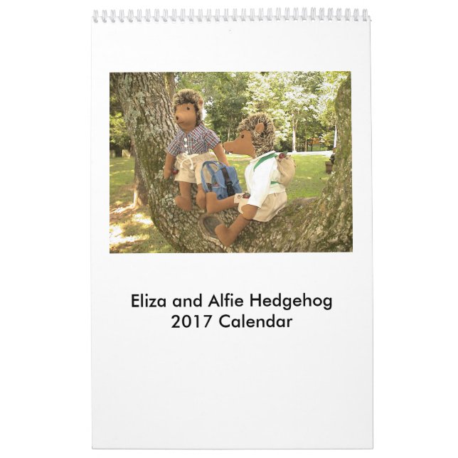 2017 Hedgehog Doll Calendar (Cover)