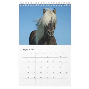 2017 Horse Calendar