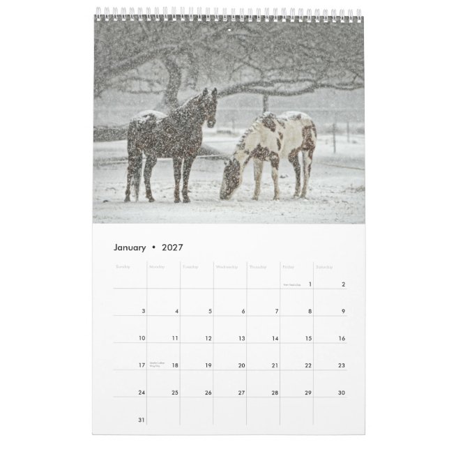 2017 Horse Calendar (Jan 2027)