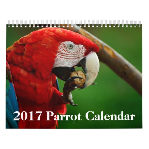 2017 Parrot Calendar