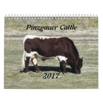 2017 Pinzgauer Calendar-change Year As Needed Calendar by MakaraPhotos at Zazzle
