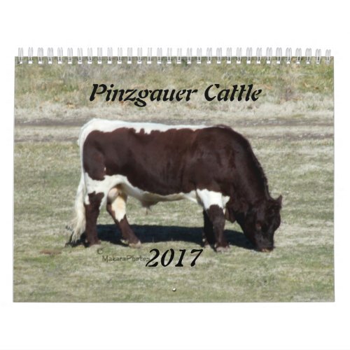 2017 Pinzgauer Calendar_change year as needed Calendar