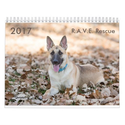 2017 RAVE Rescue Calendar
