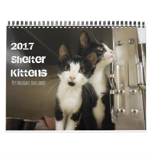 2017 Shelter Kittens Calendar