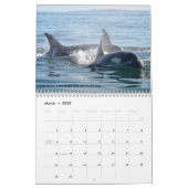 2017 Southern Resident Killer Whale Calendar Zazzle
